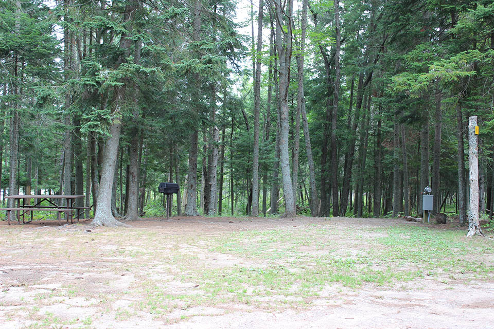 campsite at deer river campsite in ny