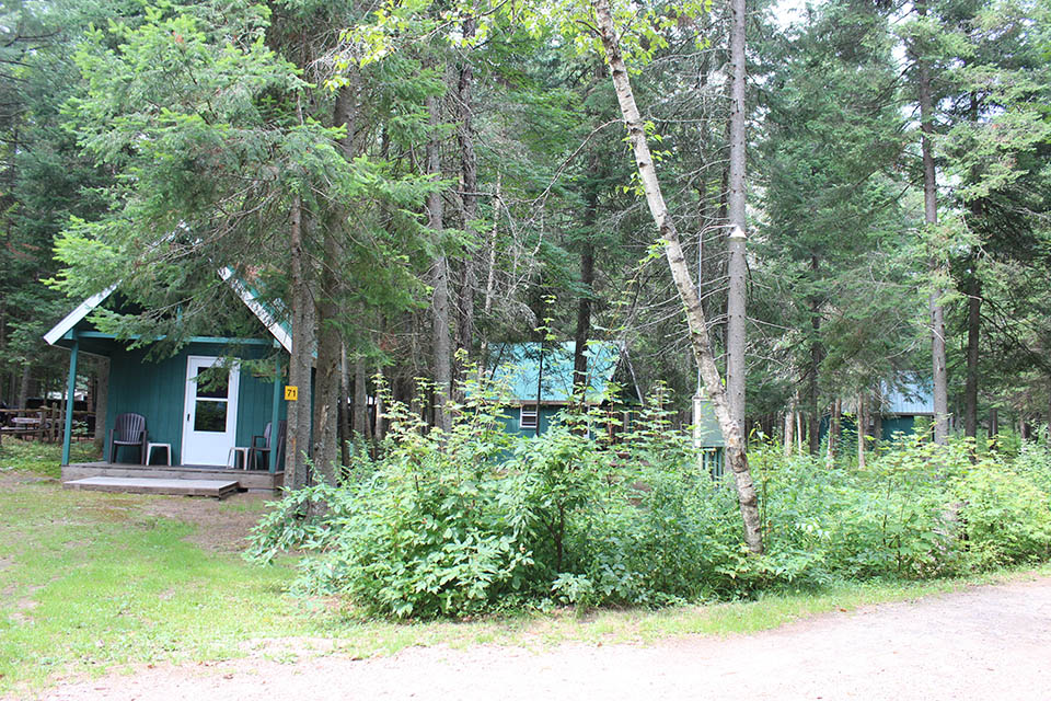 rental cabin in the trees